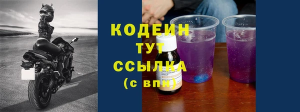 СК Аркадак