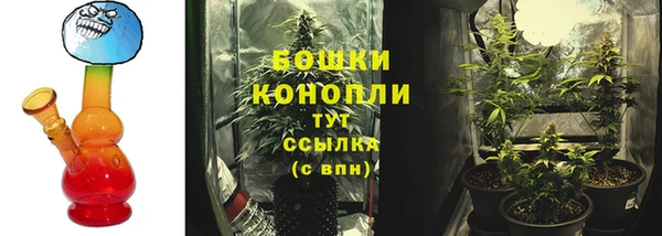 СК Аркадак