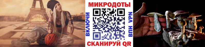 купить наркотик Суджа Галлюциногенные грибы GOLDEN TEACHER