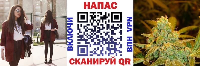 МАРИХУАНА индика  Суджа 